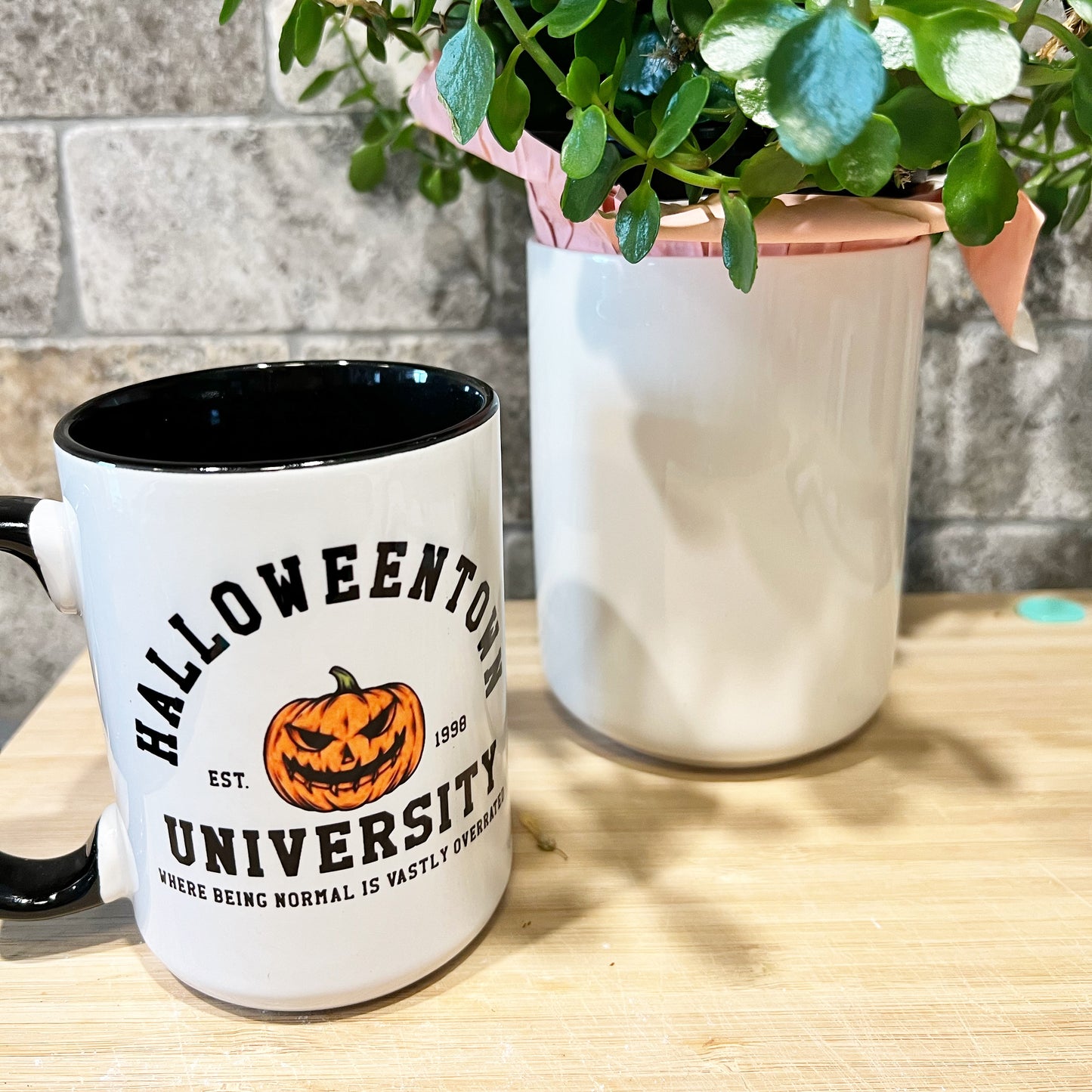 The Halloween & Witchy Vibe Collection
