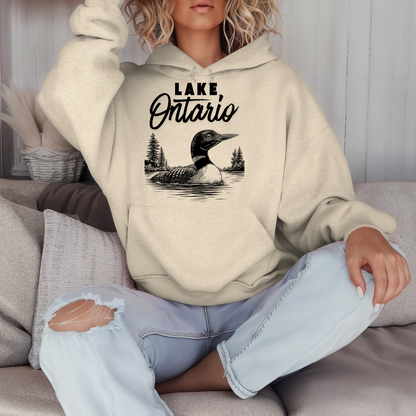 The Hoodie Collection